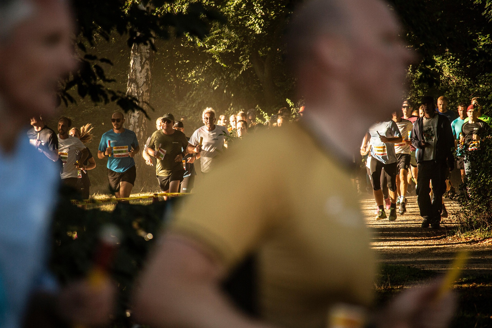 Runners moving together along a wooded trail